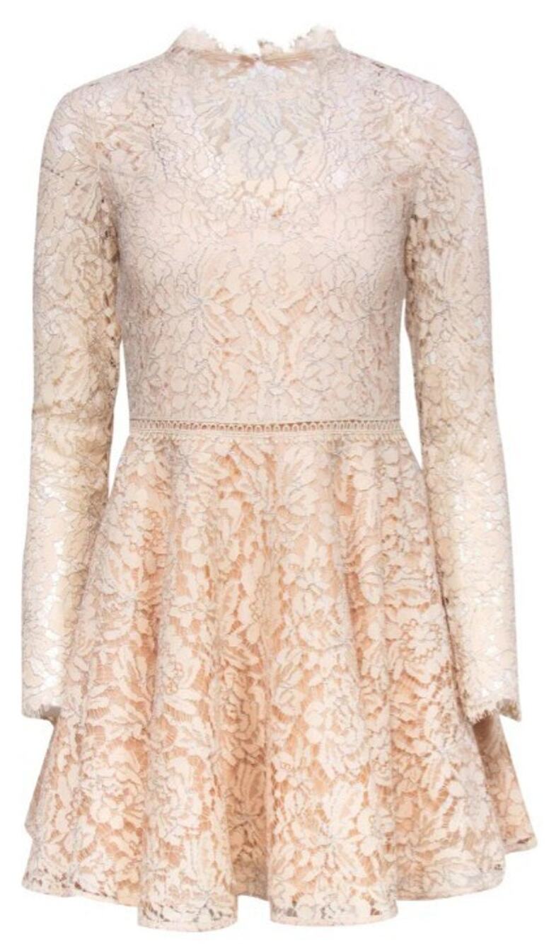 Saylor Jenelle Beige Metallic Floral Lace Fit & Flare Dress Size S Back Cutout